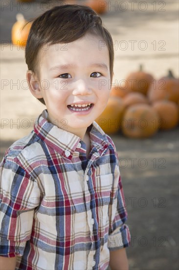 Cute mixed-race young boy having fun at the pumpkin patch