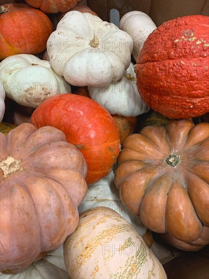 Abstract several gourds background