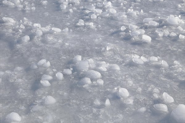 Ice structures on a frozen surface