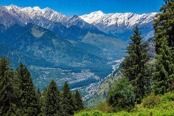 Spring meadow in Kullu valley in Himalaya mountains. Himachal Pradesh