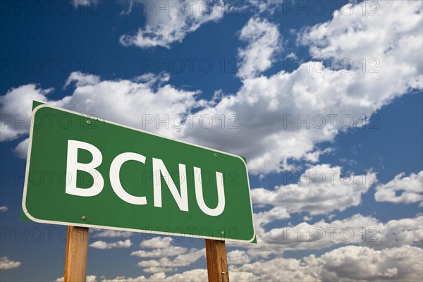 BCNU