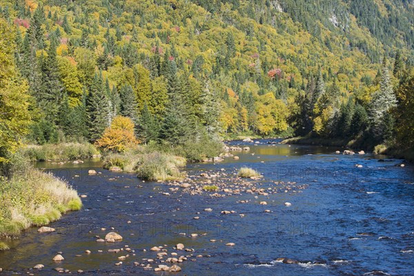 Herbstlandschaft im Park Jacques Cartier