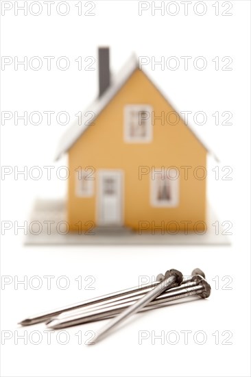 House and nails isolated on a white background