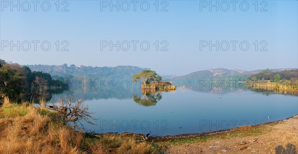 Serene morning on lake Padma Talao. Crocodiles floating. Tree and ruins are reflected in mirror water. Ranthambore National Park