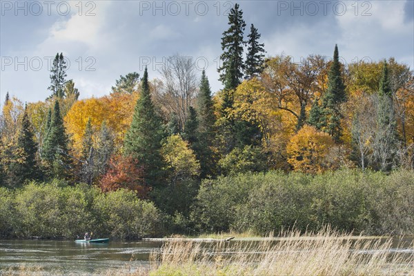 Herbstfarben im Algonquin Park