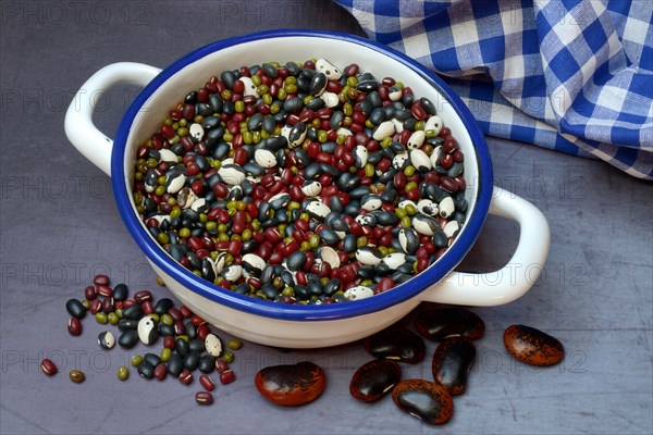 Assorted dried beans in bowl