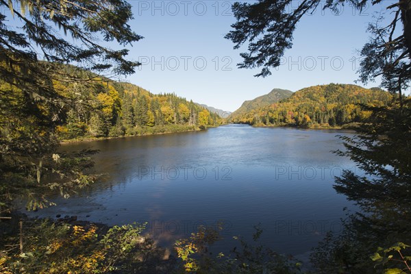 Herbstlandschaft im Park Jacques Cartier