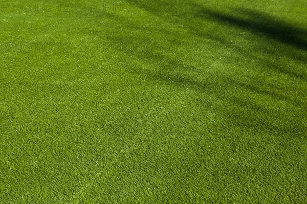 Newly installed artificial grass