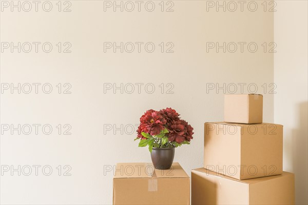 Variety of packed moving boxes and potted plant in empty room with room for text