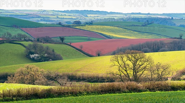 Fields and Meadows over English Village