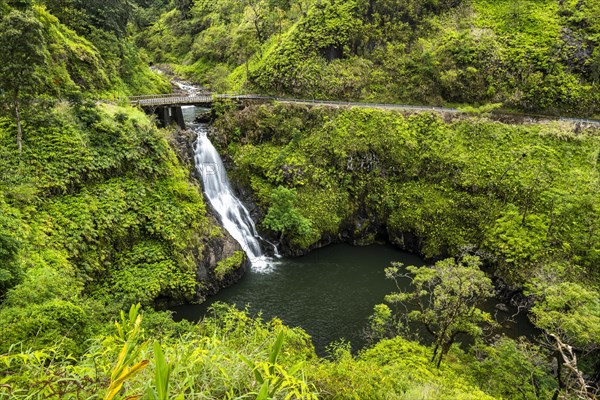 Lower Wailua Ski Falls