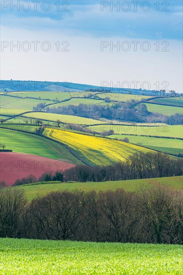 Fields and Meadows over English Village