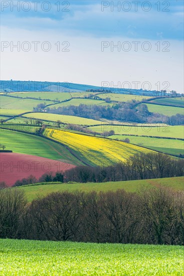 Fields and Meadows over English Village