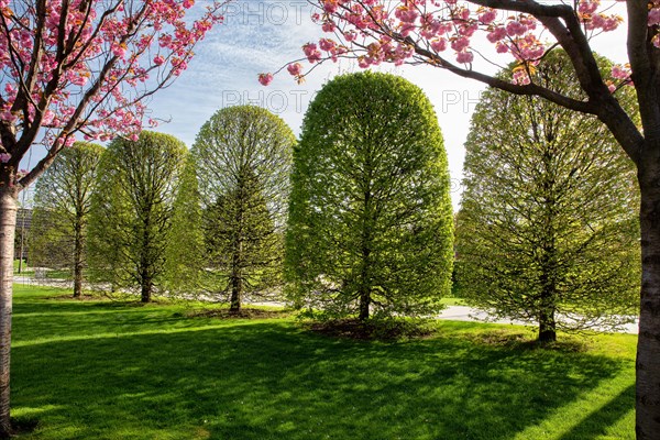 Spring in a park