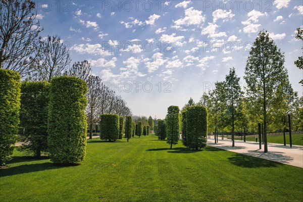 Spring in a park