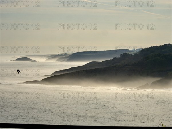 Morgendlichen Dunst am Cabo San Agustin an der Atlantikkueste in Asturien