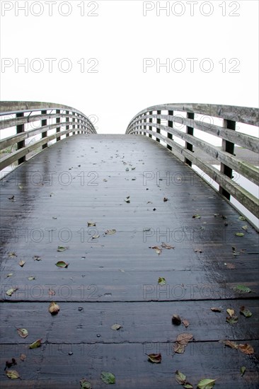 Wooden bridge with fallen autumn leaves in the state of Washington