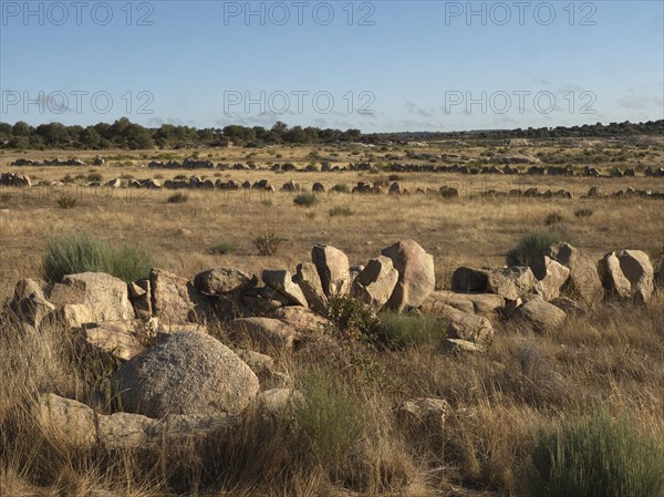 Landschaft am Auslaeufer des Almendra-Stausees im Bezirk Salamanca