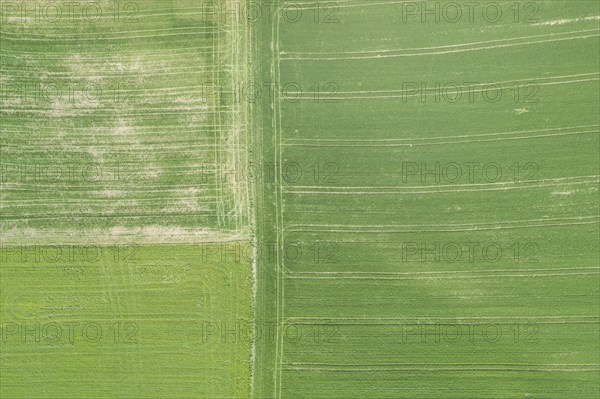 Luftuafnahme gruener Agrarlandschaft im Fruehling