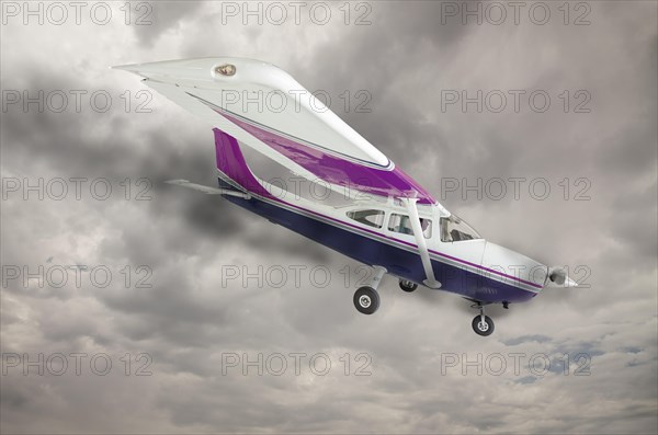 The cessna 172 with smoke coming from the engine against an ominous gray sky