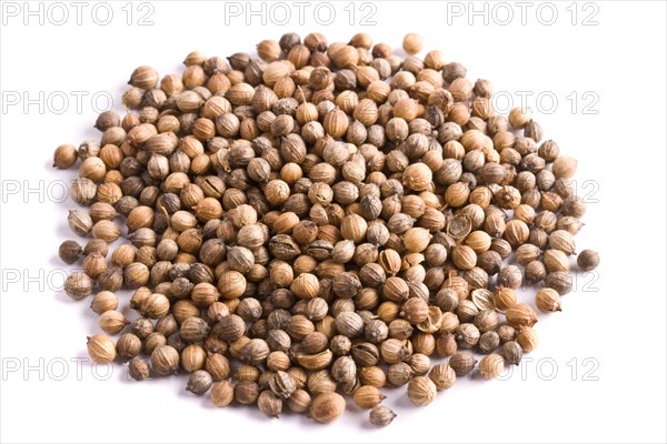 Pile of coriander close up on white background