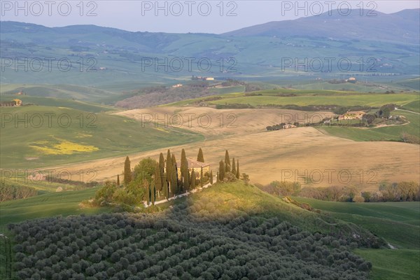 Podere Belvedere Estate