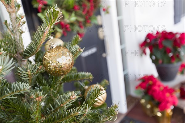 Christmas decorations at front door of house