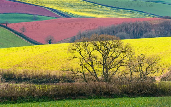 Fields and Meadows over English Village