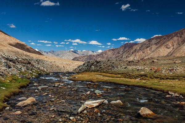 Mountain stream in Himalayas near Khardung La pass