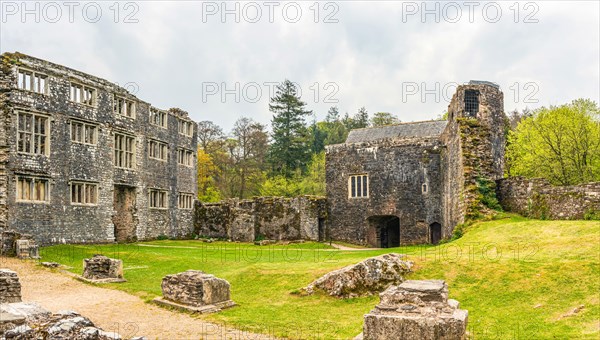 Panorama of Berry Pomeroy Castle