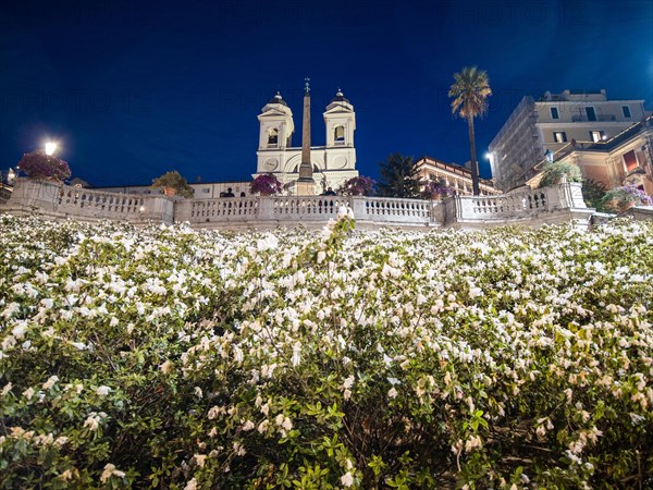 Floral decorations