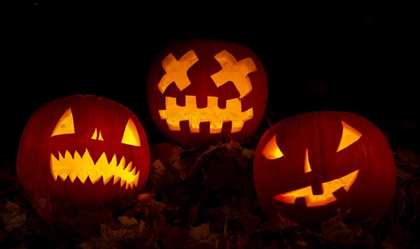 Glowing pumpkins at night