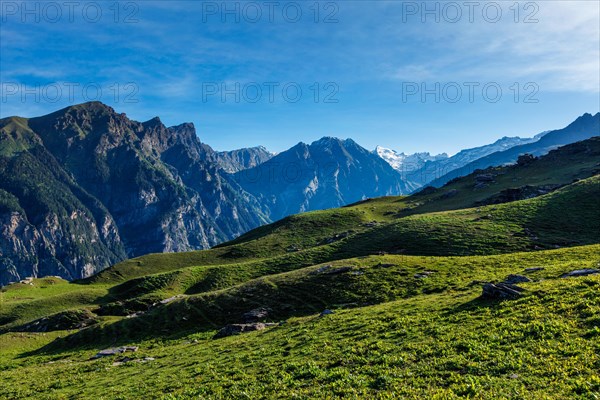 Spring meadow in Kullu valley in Himalaya mountains. Himachal Pradesh