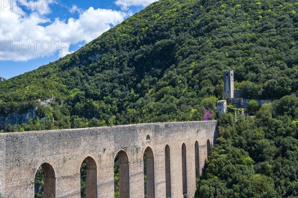 Bridge of the towers