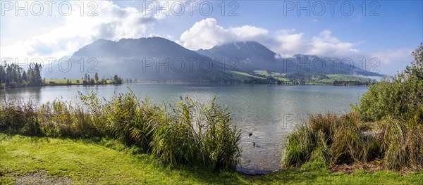 Walchsee