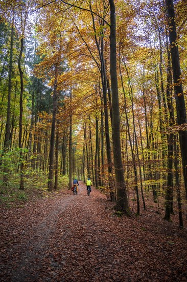 Two cyclists on path through autumnal forest