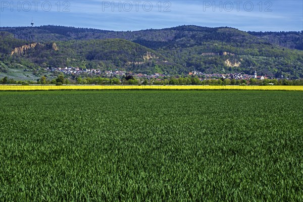 Dossenheim on the Bergstrasse