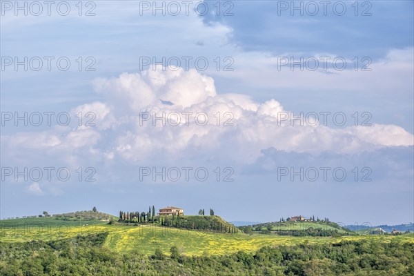 Typical country estate in hilly landscape with cypresses