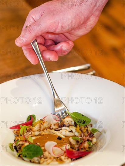 Hand with fork picking from a dish of pan cooked grilled flambe atlantic squid iplated with potato rich sauce cream reduction
