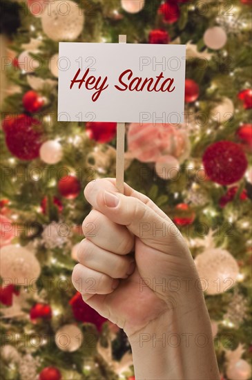Hand holding hey santa card in front of decorated christmas tree