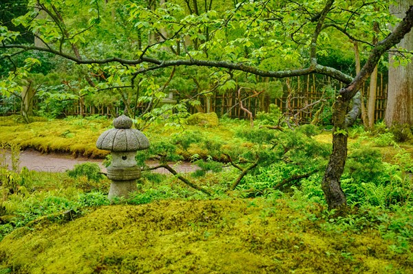 Stone lantern in Japanese garden