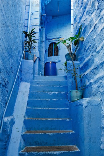 Blue houses in streets of of Jodhpur