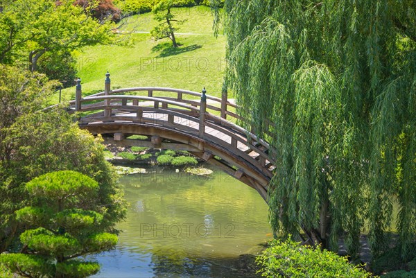 Beautiful Japanese garden with pond and bridge