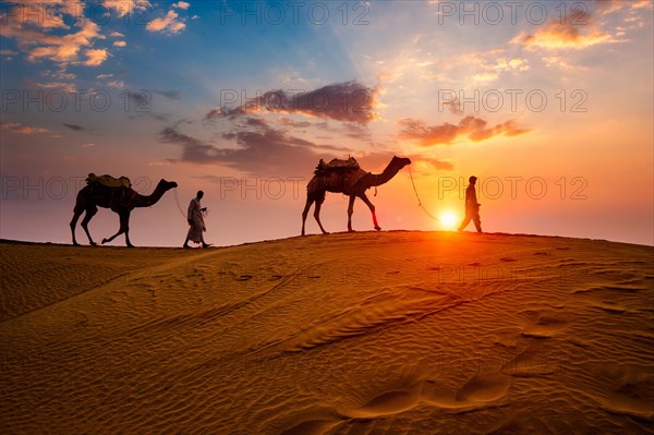 Indian cameleers