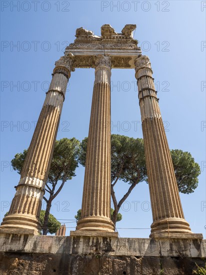 Columns