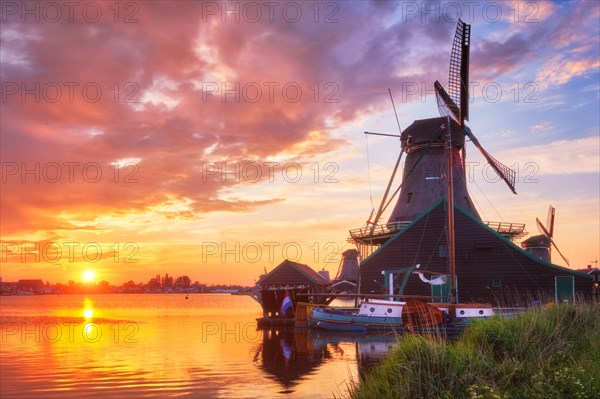 Netherlands rural scene