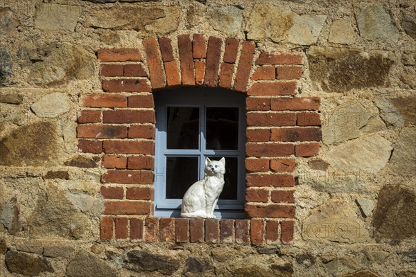 Porcelain cat on the edge of a window