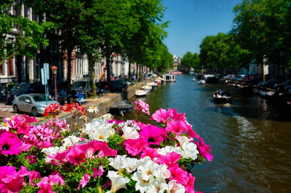 Amsterdam canal with passing boats view over flowers on the bridge Focus on flowers Amsterdam