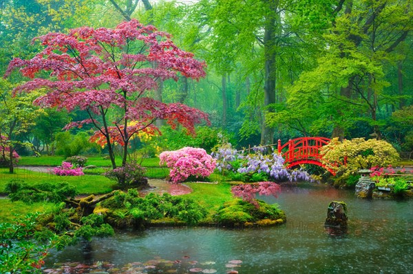 Small bridge in Japanese garden in rain