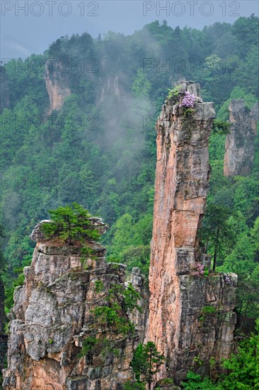 Famous tourist attraction of China